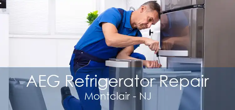 AEG Refrigerator Repair Montclair - NJ
