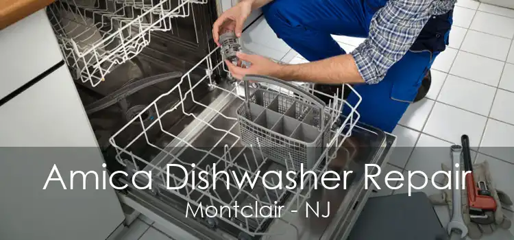 Amica Dishwasher Repair Montclair - NJ