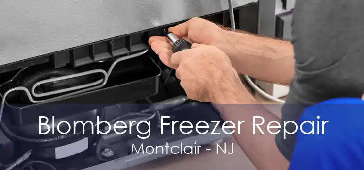 Blomberg Freezer Repair Montclair - NJ