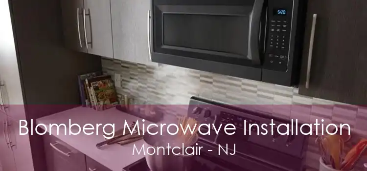 Blomberg Microwave Installation Montclair - NJ