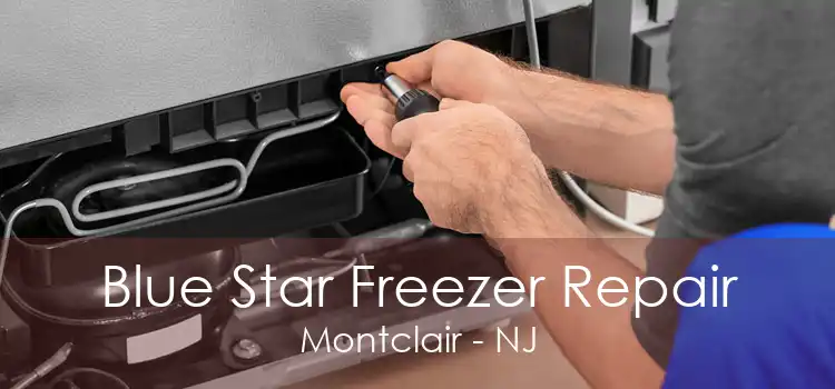 Blue Star Freezer Repair Montclair - NJ