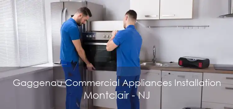Gaggenau Commercial Appliances Installation Montclair - NJ