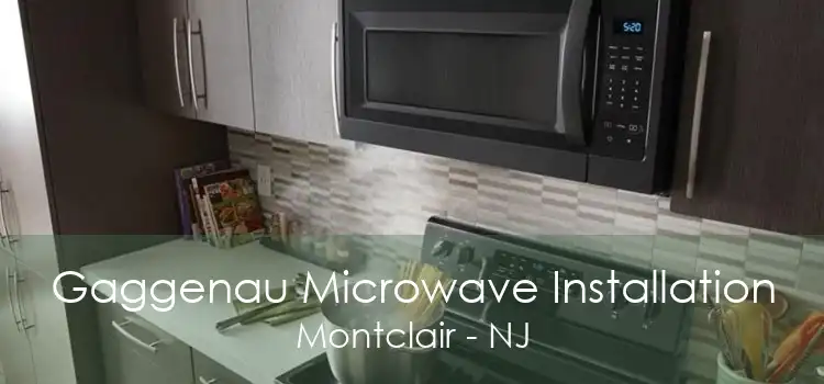 Gaggenau Microwave Installation Montclair - NJ
